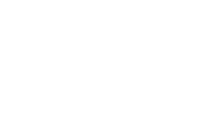 PCX 125 2021 BUJI 31917-KOR-V01-M1